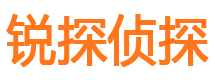 江川出轨调查